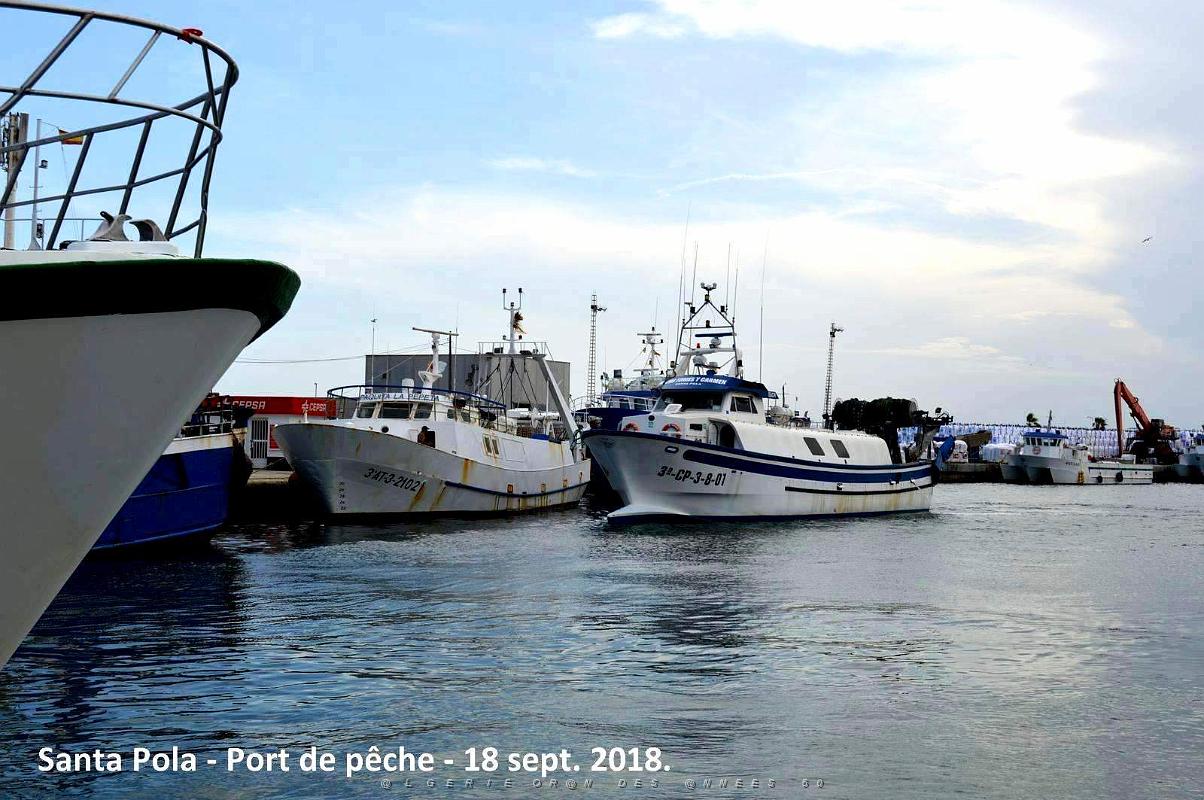 11 SANTA POLA PORT DE PECHE (106).JPG